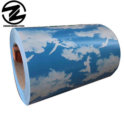 Color Coated Steel Prepainted Galvanized Steel Coils with Punching Processing Service and Standard Package from Ppgi Coil