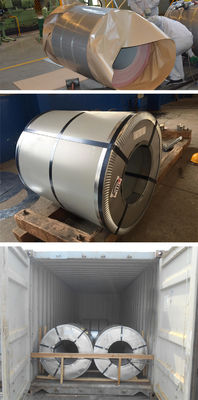 PPGI Gi White Color Code 9016 Prepainted Galvanized Steel Coil 0.4mm Color Coated Aluminum Coil in Customers Samples Color