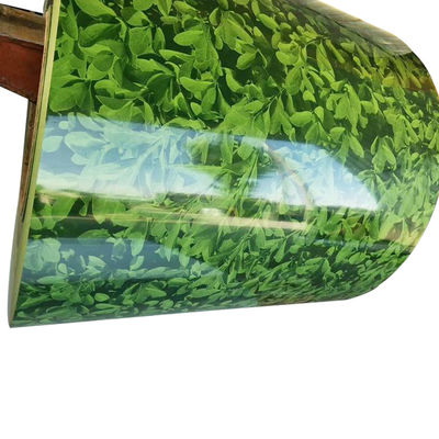 Regular Spangle Grass Pattern PPGI PPGI Galvanized Steel Coil Prepaint Color Coated Steel Coil with 3-5 Tons Coil Weight