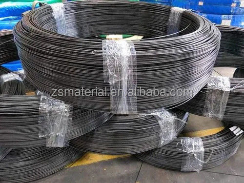 ASTM Standard Q195 Carbon Spring Steel Wire with ±1% Tolerance and 0.25 0.5 0.7 3.0 Diameter