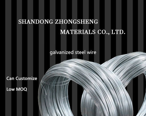 SAE1006 SAE1008 SAE1010 Carbon Gi Wire for Making Nails Galvanized Iron Wire Tolerance ±1% Processing Service Decoiling
