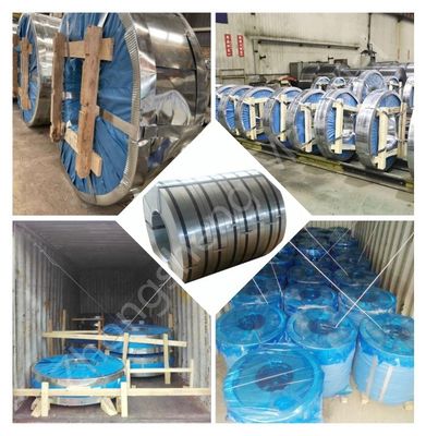 8mm-1500mm Width Prime Q235B Galvanized Steel Strip 0.2-1.0mm Thickness with RoHS Certificate